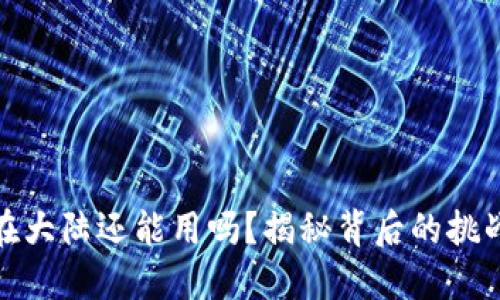 MetaMask 在大陆还能用吗？揭秘背后的挑战与解决方案！