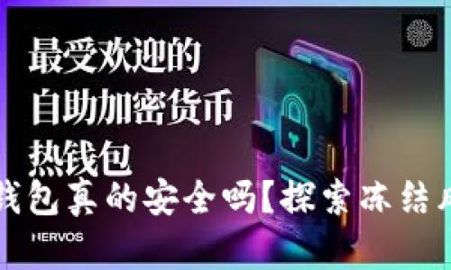 比特币冷钱包真的安全吗？探索冻结风险的真相