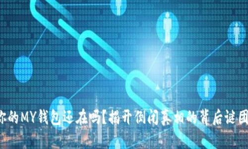 你的MY钱包还在吗？揭开倒闭真相的背后谜团！