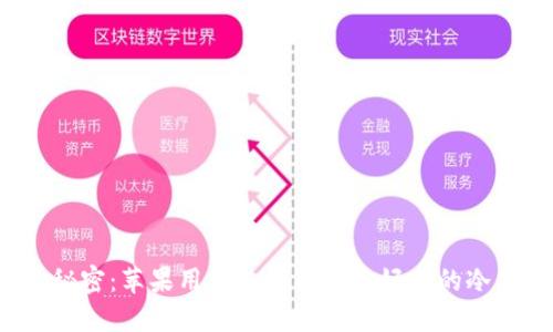 揭开秘密：苹果用户如何找到最好用的冷钱包？