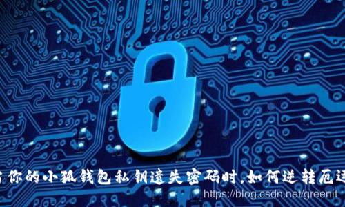 当你的小狐钱包私钥遗失密码时，如何逆转厄运？