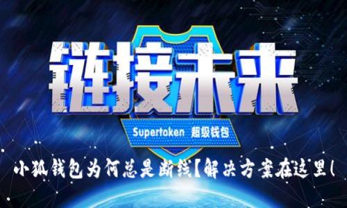 小狐钱包为何总是断线？解决方案在这里！
