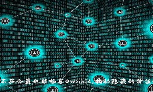 不买会员也能畅享Ownbit，揭秘隐藏的价值！