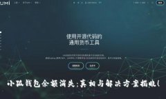 小狐钱包余额消失：真相与解决方案揭晓！