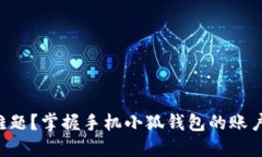 切换账户难题？掌握手机小狐钱包的账户管理技