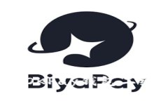 如何轻松找到OKPay钱包二维码登录入口？