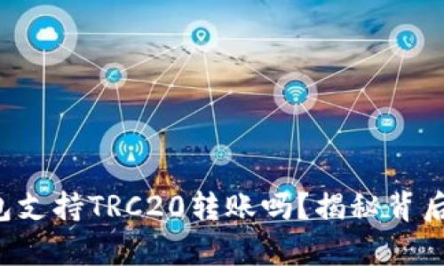 小狐钱包支持TRC20转账吗？揭秘背后的真相！