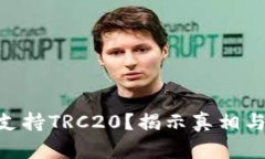 MetaMask能否支持TRC20？揭示真相与未来可能的挑战