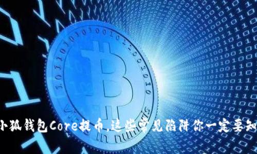 从小狐钱包Core提币，这些常见陷阱你一定要知道！