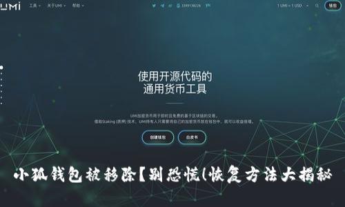 小狐钱包被移除？别恐慌！恢复方法大揭秘