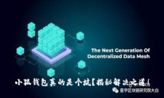 小狐钱包真的是个坑？揭秘解决之道！