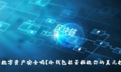 你的数字资产安全吗？冷钱包能否拯救你的美元