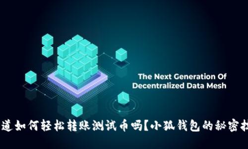 riaoti你知道如何轻松转账测试币吗？小狐钱包的秘密技巧大揭密！