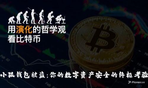 小狐钱包被盗：你的数字资产安全的终极考验