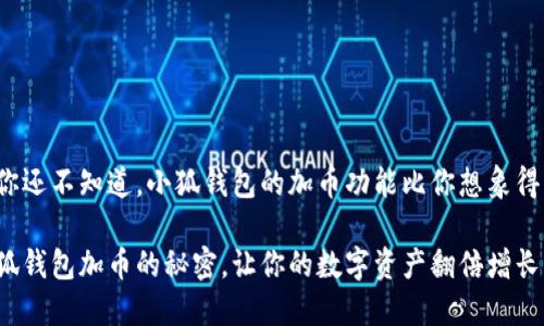 很可能你还不知道，小狐钱包的加币功能比你想象得更强大！

掌握小狐钱包加币的秘密，让你的数字资产翻倍增长！