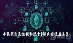 小狐钱包无法提取现金？解决方案在这里！