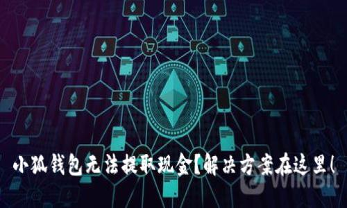 小狐钱包无法提取现金？解决方案在这里！