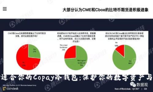 如何选择适合你的Copay冷钱包：保护你的数字资产与安全挑战