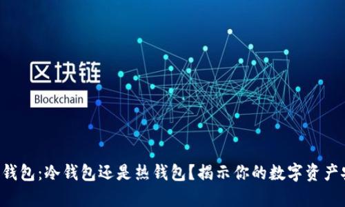 狗币官方钱包：冷钱包还是热钱包？揭示你的数字资产安全真相！
