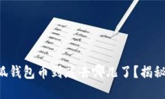 转账后的小狐钱包币到底去哪儿了？揭秘背后的