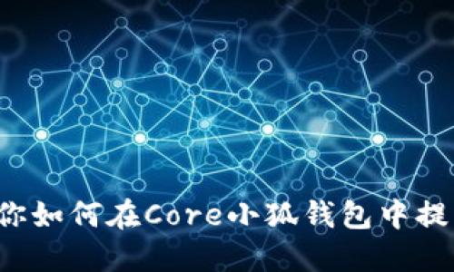 轻松解锁！教你如何在Core小狐钱包中提币，不再烦恼！