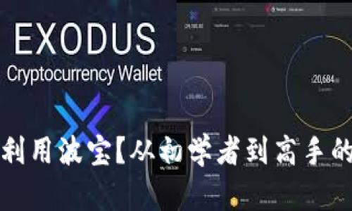 如何高效利用波宝？从初学者到高手的全面指南