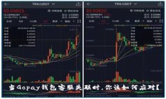 当Gopay钱包客服失联时，你该如何应对？