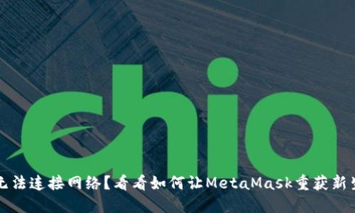 无法连接网络？看看如何让MetaMask重获新生