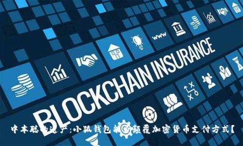 中本聪的遗产：小狐钱包能否颠覆加密货币支付方式？