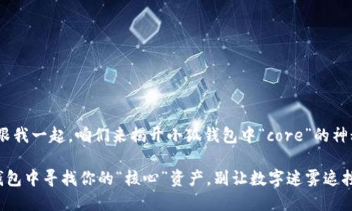 很简单！跟我一起，咱们来揭开小狐钱包中“core”的神秘面纱

在小狐钱包中寻找你的“核心”资产，别让数字迷雾遮挡了视线！