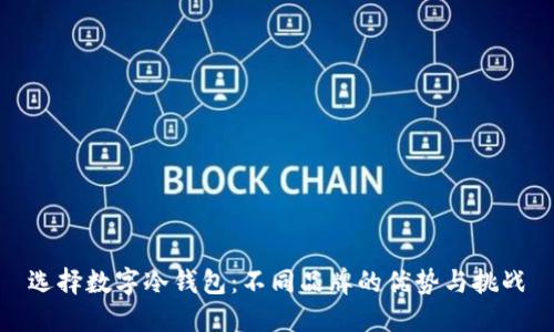 选择数字冷钱包：不同品牌的优势与挑战