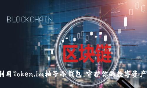 如何利用Token.im柚子冷钱包，守护你的数字资产安全？