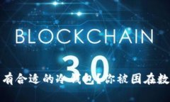 为何RACA币没有合适的冷钱包？你被困在数字货币