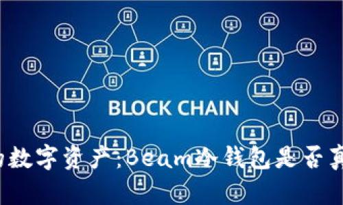 保护你的数字资产：Beam冷钱包是否真的安全？