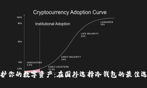 保护你的数字资产：在国外选择冷钱包的最佳选择