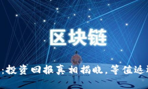 小狐钱包的Core币：投资回报真相揭晓，等值返还还是仅仅一场梦？