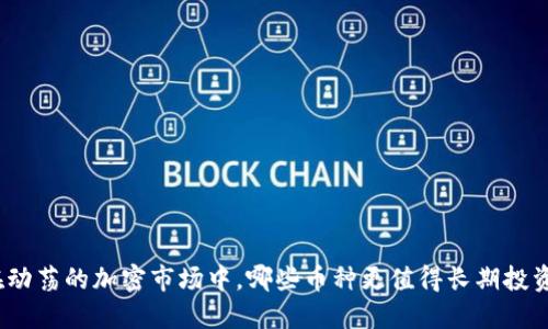 在动荡的加密市场中，哪些币种更值得长期投资？