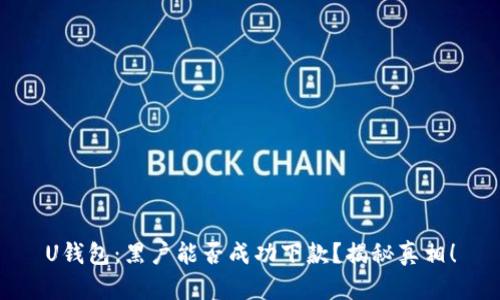 U钱包：黑户能否成功下款？揭秘真相！