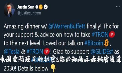 币圈首码项目的秘密：你必知的三大秘密通道！