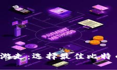  在风险与安全之间游走：选择最佳比特币离线冷钱包的挑战