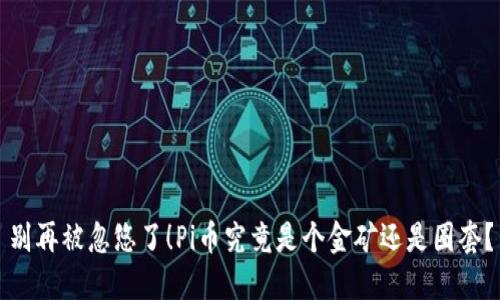 别再被忽悠了！Pi币究竟是个金矿还是圈套？