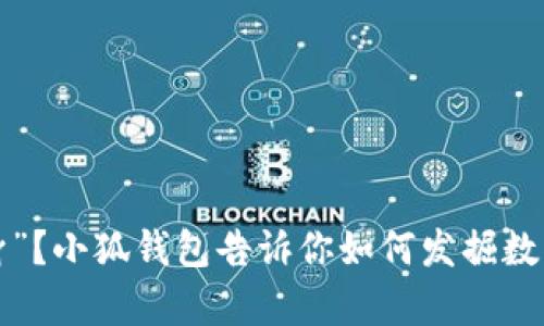 你的钱包还在“瘦身”？小狐钱包告诉你如何发掘数字资产的真正潜力！