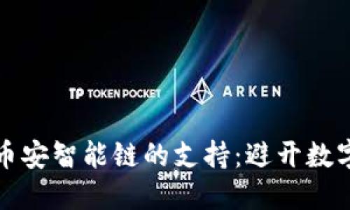 冷钱包如何获得币安智能链的支持：避开数字资产安全的误区