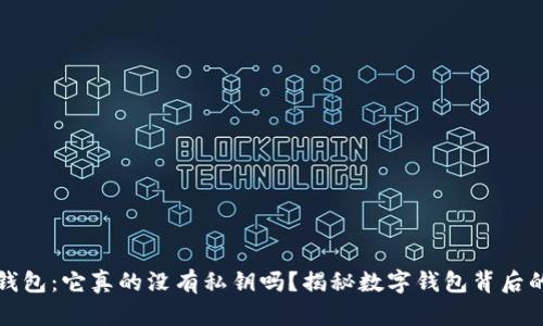 小狐钱包：它真的没有私钥吗？揭秘数字钱包背后的秘密