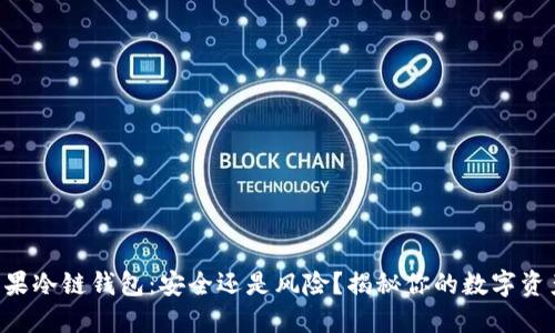 苹果冷链钱包：安全还是风险？揭秘你的数字资产！