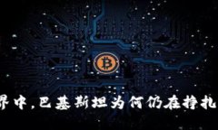 在数字货币的世界中，巴基斯坦为何仍在挣扎于