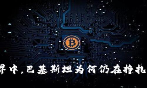 在数字货币的世界中，巴基斯坦为何仍在挣扎于冷钱包的冷漠？