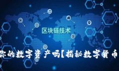 你真的准备好保护你的数字资产吗？揭秘数字货