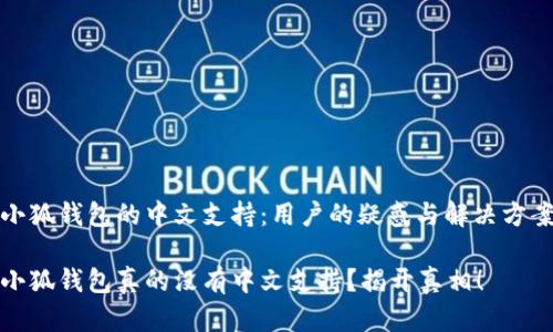 小狐钱包的中文支持：用户的疑惑与解决方案

小狐钱包真的没有中文支持？揭开真相！