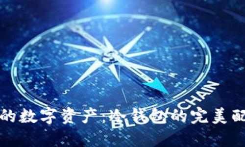 保护你的数字资产：冷钱包的完美配置指南